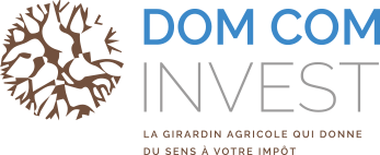 Dom Com Invest Girardin Impots