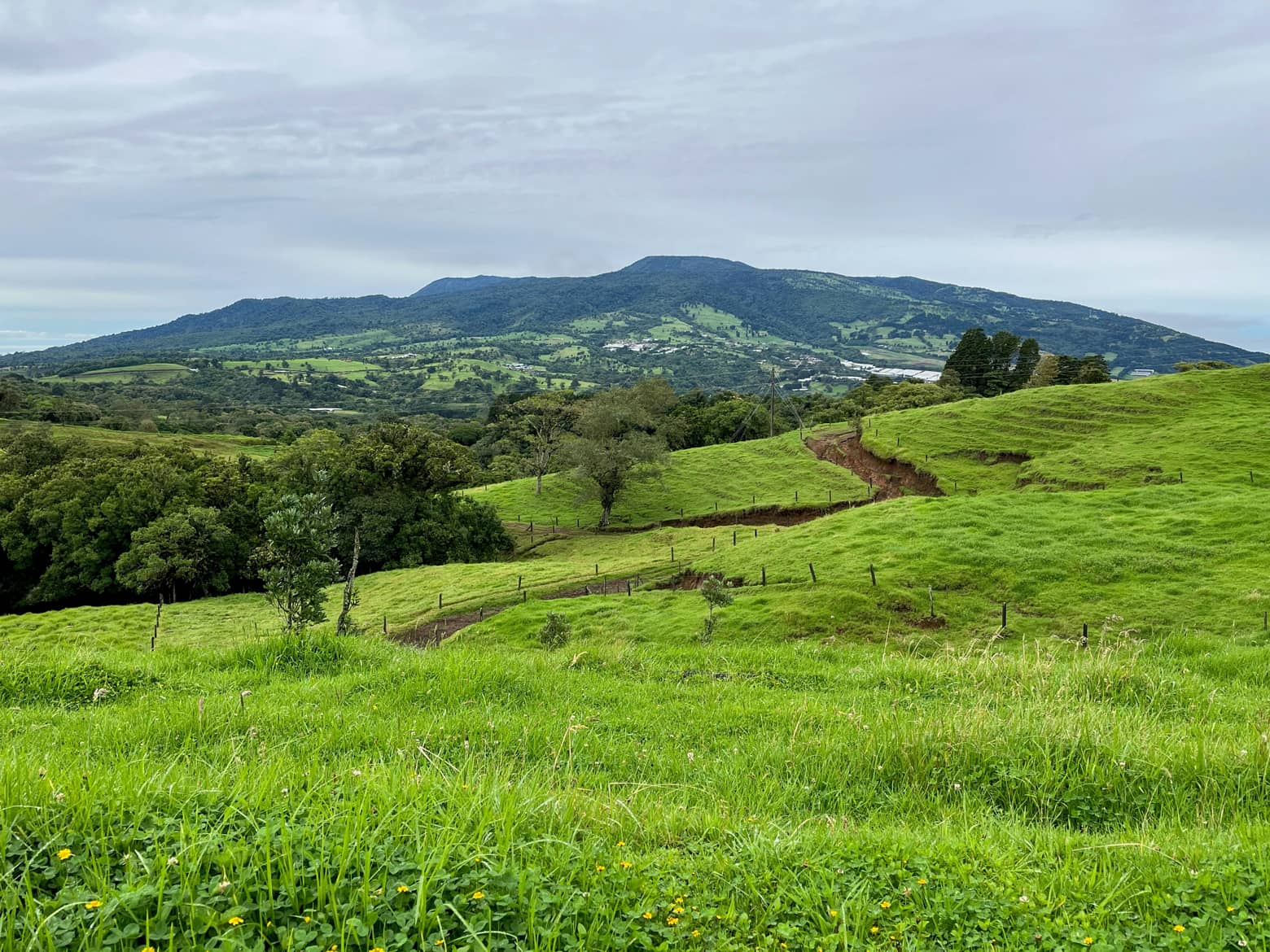 Loi Lodeom Antilles Industrial Invest Guadeloupe (1)