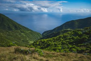 Comparatif dispositif fiscal Girardin industriel et Girardin agricole (1)